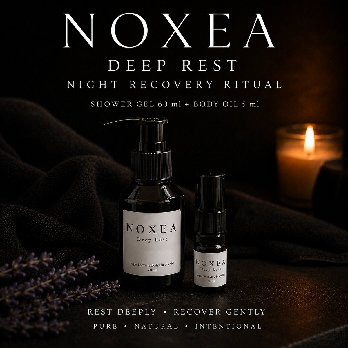 NOXEA 夜间恢复